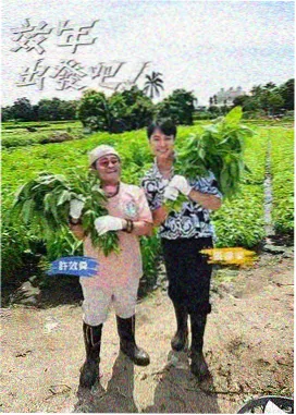 换乘恋爱韩国综艺在线观看
